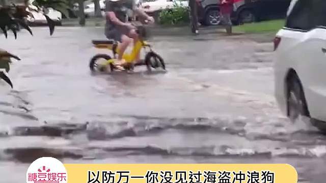 好帅好帅的乘风破浪海盗狗