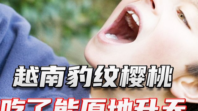 越南当地的豹纹樱桃，吃一颗原地升天