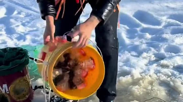 小哥起鱼爆网了