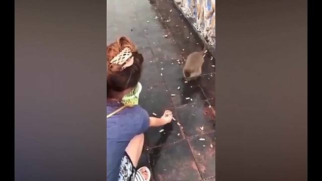 动物那些迷惑行为你知道吗，太逗了！