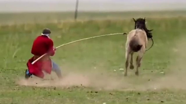 谁说草原不能冲浪，我今天就要打破规则，就是有点废鞋