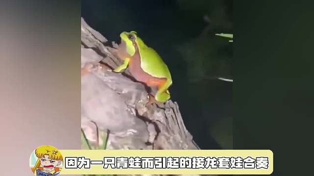 不仅好听，还逐渐高级起来了