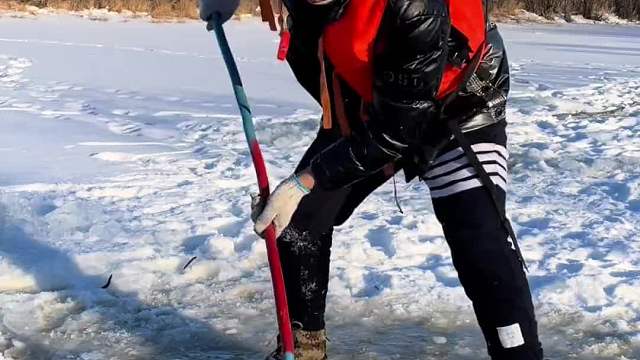 冰窟窿搅鱼真过瘾