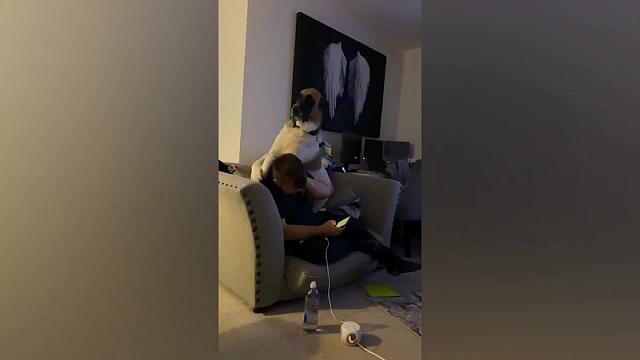 萌宠的日常搞笑瞬间