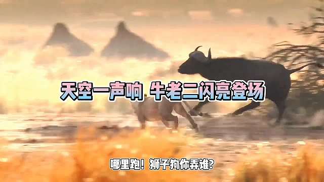 天空一声响，牛老二闪亮登场！猝