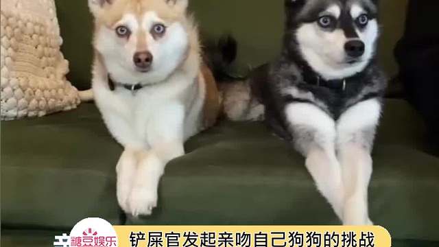 亲吻狗狗的反应