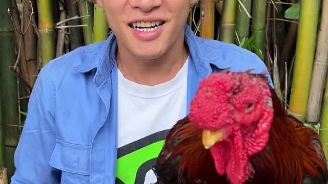  挑战一天只吃黑色的食物！