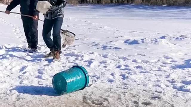 真有好运气。这哥俩搅出的全是大鱼货。