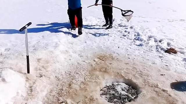 真厉害一拍二搅出大鱼。