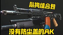 首款无防尘盖AK改模蓝图！性价比蛮高的组合包！你会为了机匣买这个包吗？《使命召唤19》组合包展示
