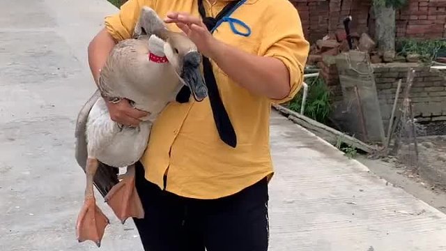 哎呀！会不会说话啊