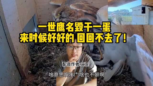 老愣蛋没吃着，还挨顿揍！一世鹰名毁于一蛋啊！