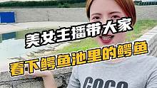 美女主播带大家看下鳄鱼池里的鳄鱼#鳄珍 #鳄鱼