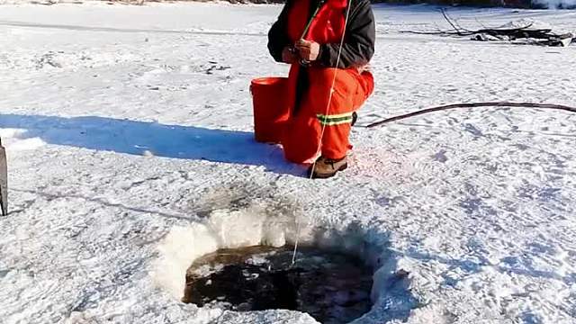 这条大货钓上来真不容易啊。