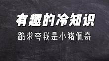 奇怪的冷知识，跪求快我像小猪佩奇