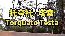 今天Crankworx凯恩斯土坡技巧第五名意大利托夸托·塔索Torquato Testa#Crank