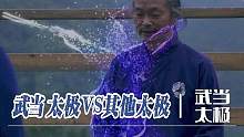 天下太极出武当，不是争而是正本清源。#太极拳 #天下太极出武当 #道家文化