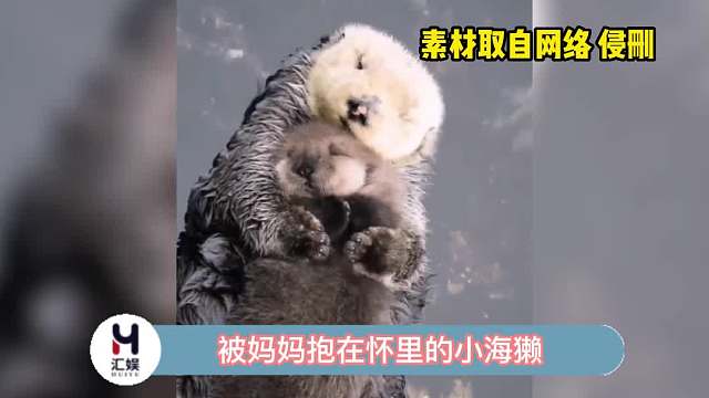 果然自己的孩子越看越喜欢啊！