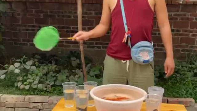 阿姨你这样捞我亏大阿