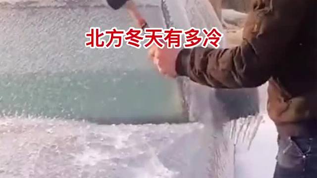 北方冬天有多冷，车子都冻僵了