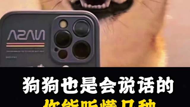 狗狗也是会说话的，你能听懂几种？