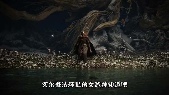 艾尔登法环：环内卷图鉴之花式无伤女武神
