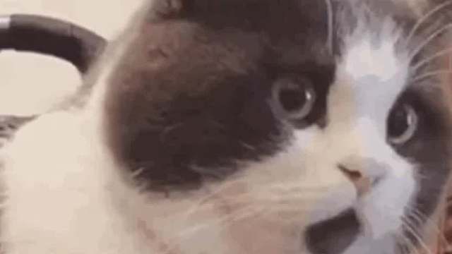 猴子：大意了大意了！！！