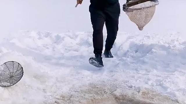 在这冰窟窿里搅出两条大肥鱼。