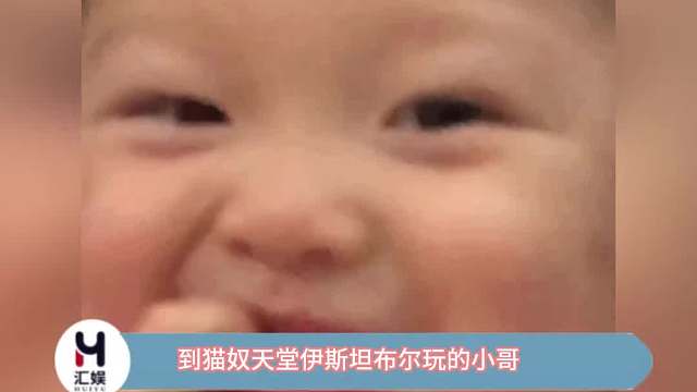 小哥见到猫就变话痨了~