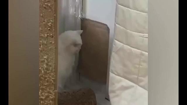 看完后原谅我不厚道的笑了