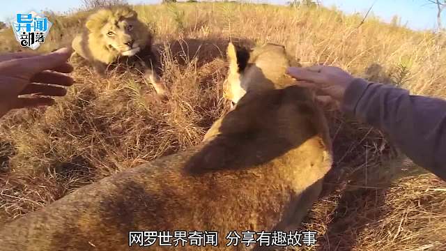 4个与众不同的牛人盘点！女孩一拳打爆门板？惹不起