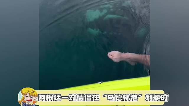 小哥吓得脸都绿了，好想摸摸它们啊