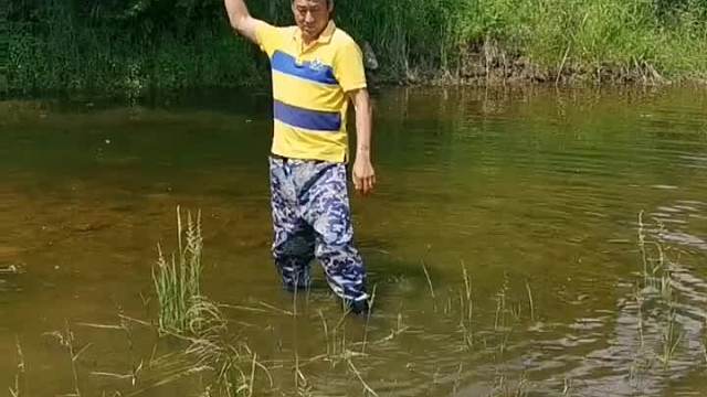 这鱼真多老弟用盆子都拍懵两条大鲫鱼。