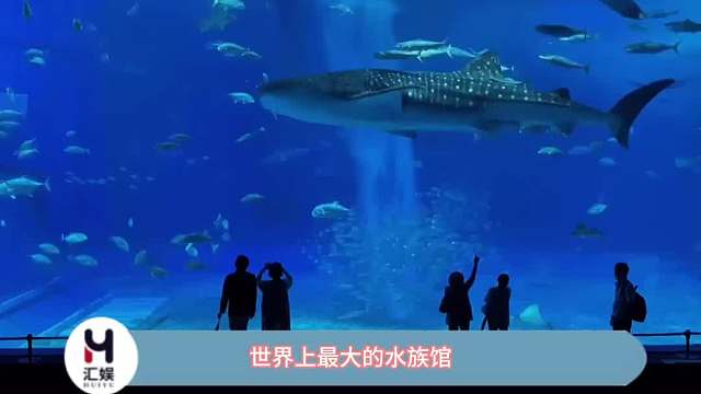 世界上最大的水族馆：阿联酋“阿布扎比海洋世界”