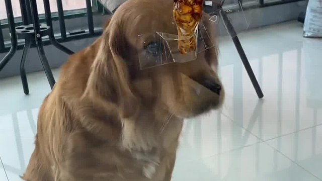 近在眼前的奢望