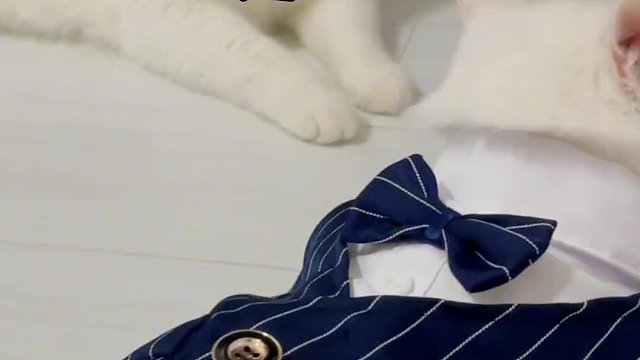 科普：年下，指主动的一方年纪较小…