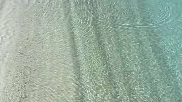 死鬼！我辛辛苦苦追可一上午，最后成你的盘中餐了