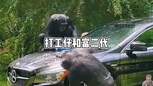 这就是打工仔和富二代的区别！你们都初几上班啊？