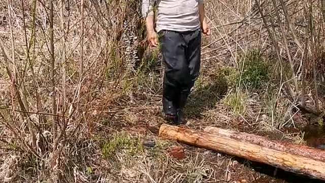 花蓝子上鱼了。