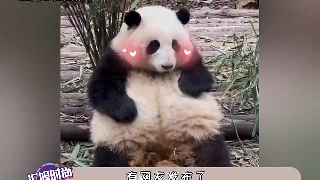 花花：你最好当着我的面再说一遍