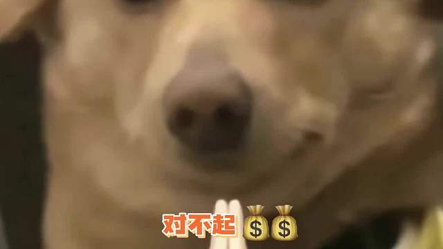 压力来到了义务这边！！！