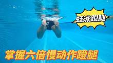 把蛙泳蹬腿放慢六倍节奏，教你正确蹬腿发力点，轻松游蛙泳不会累#蛙泳腿 #蛙泳 