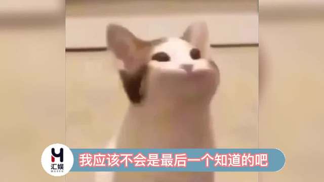 我应该不是最后一个知道的吧！