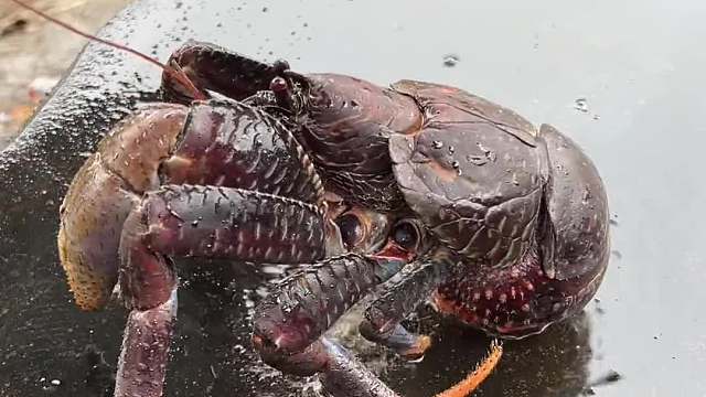  键盘坏了，文案交给你们！