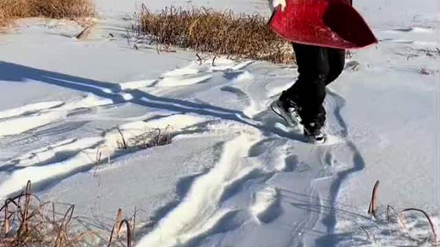 大会这鱼真多呀！