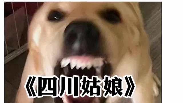 都说四川女孩子最凶！