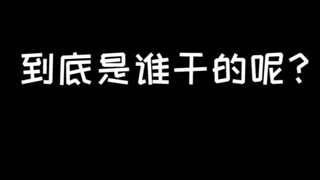 到底是谁把303的手纸给换了呢？