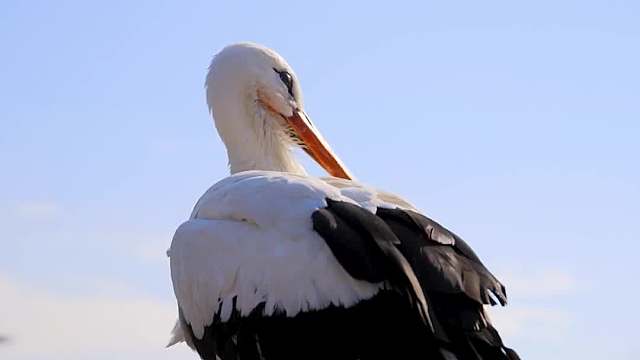 这段长达20年的爱情，最终以马琳娜的离世宣告结束！