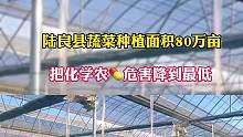 陆良蔬菜种植达80多亩#陆良网