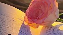 #玫瑰花一样的女人 #小技巧 #推给大数据需要的人 玫瑰蔫了不要丢,简单4步,
教你拯救枯萎的花